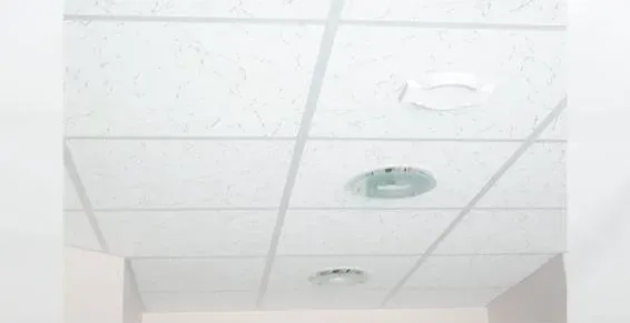 Faux plafond près de Phalsbourg